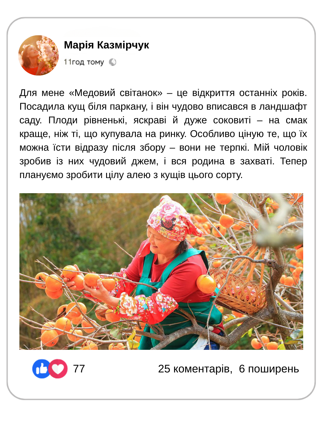 Заголовок